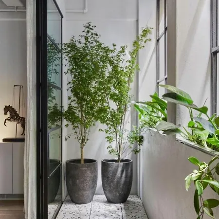 Daire 4bdr In Paris